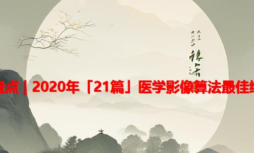 大盘点 | 2020年「21篇」医学影像算法最佳综述